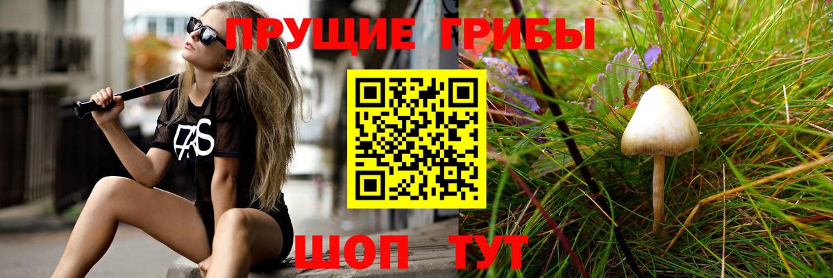 Псилоцибиновые грибы Psilocybe  Вход с VPN  Орёл 