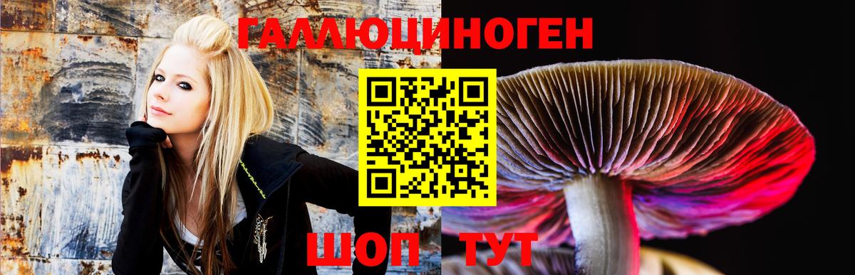Галлюциногенные грибы прущие грибы Орёл
